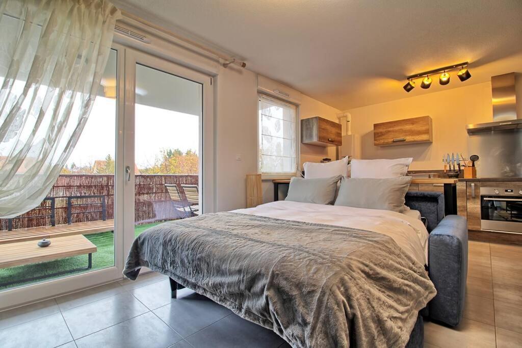 Appartement - Note Boisee - Terrasse & Parking Selestat Exterior photo